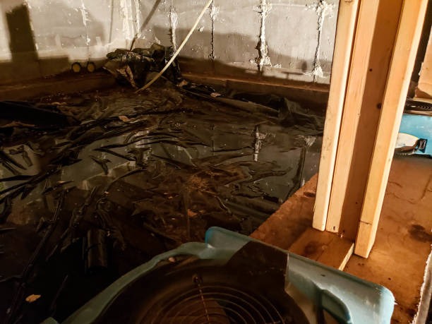 Cost-Effective Crawlspace Waterproofing in Wilmington